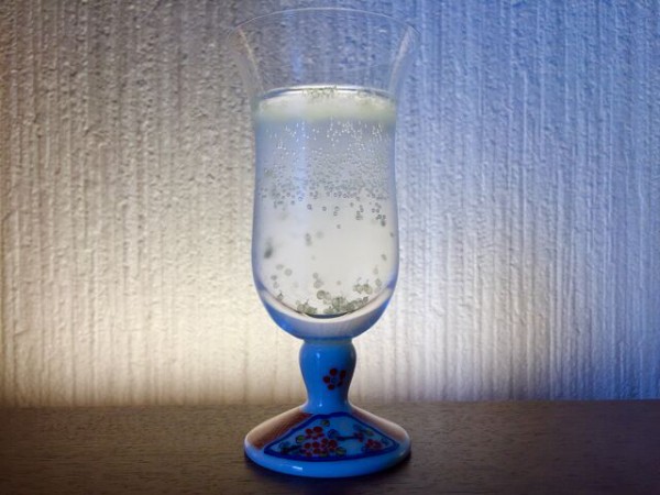 デザートライム フィンガーライムの素人栽培記録 育て方 In21 会長の趣味いろいろblog