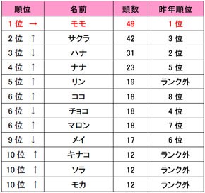 犬の名前ランキング トップは5年連続で モモ 沖縄のワンちゃん快適生活