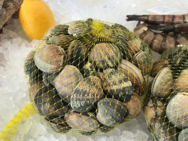 あさりの砂出しの真実 ロンドンの魚屋 プリヒル姉さん ロンドンのプリムローズヒルの魚屋 イギリス生活