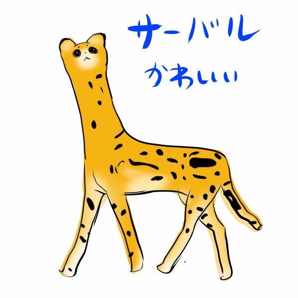 ☺︎プロフィールみてください☺︎ページ THEALFEE】『アルフィー坂崎さんの番組という番組の音声配信にて