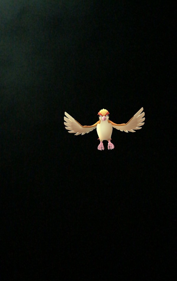 稼働 ポケモンgo 始めました そして乱数調整成功でgodを引き一撃3万 通りもんばロミ男におまかせ