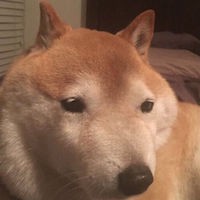 閲覧注意 ヤバすぎる世界の 松尾 ランキング なんjワールド