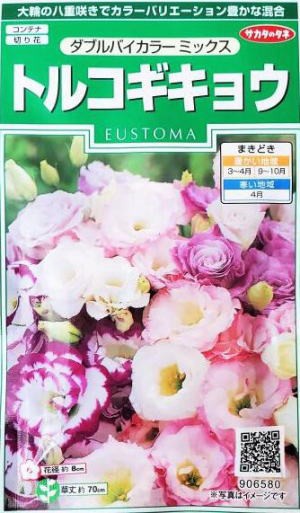 トルコキキョウ の実生に挑戦中 じぃじ のミニ盆栽日記