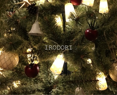 やっと出会えた理想の屋外用クリスマスツリーとやっと出したお部屋のクリスマスツリー Irodori 心地よくて小さな暮らし Powered By ライブドアブログ