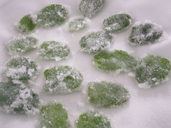 ポリジの砂糖漬け Lovely Place