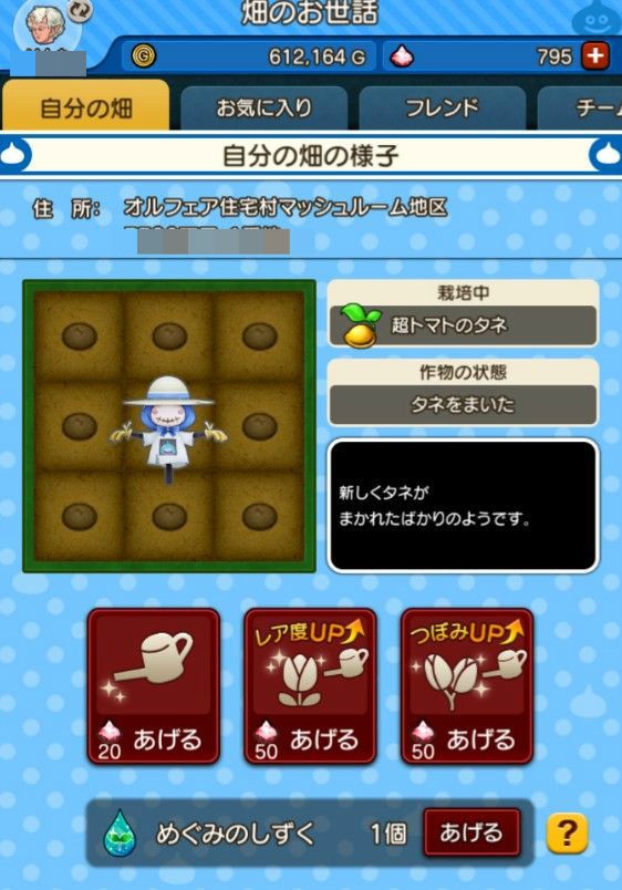 レア めぐみのしずくを手に入れたので使ってみました W ｄｑ１０ブログ プクピの冒険日記