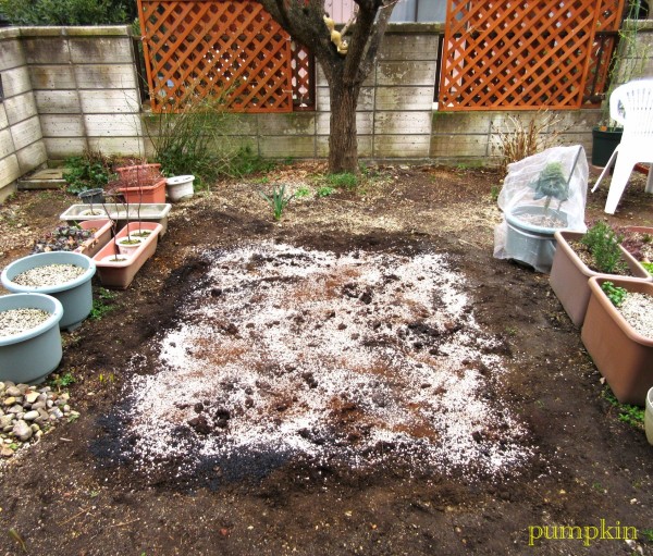 菜園ポタジェの土作り ガーデニングビギナーが始めるゆる い庭ライフ 菜園ポタジェの土作り ガーデニングビギナーが始めるゆる い庭ライフ