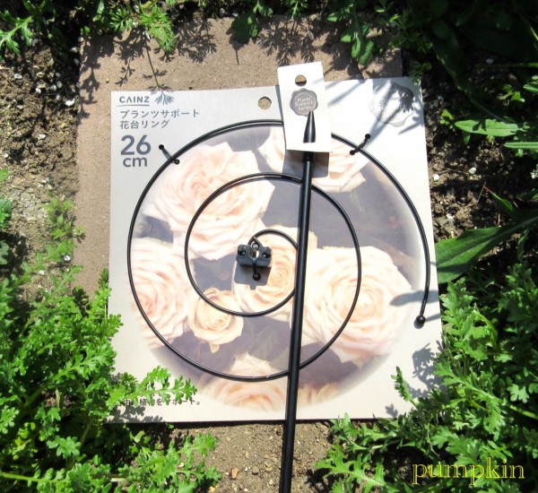 強風の日の徒然話 ガーデニングビギナーが始めるゆる い庭ライフ