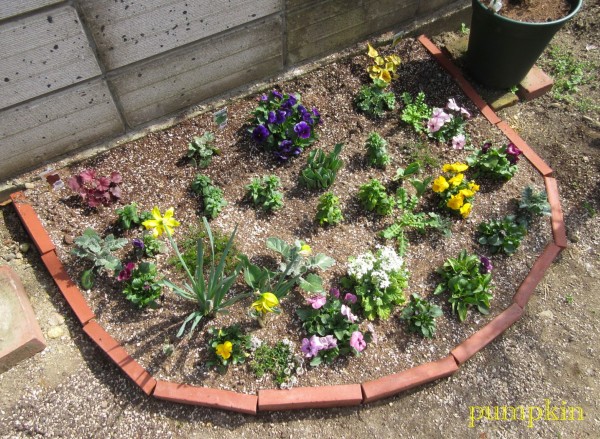 塀際花壇の整理 ガーデニングビギナーが始めるゆる い庭ライフ