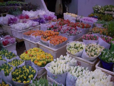 New York Flower Market Hello From New York