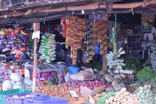 No 116 スリランカの景色 Pureco Magazine プレコマガジン