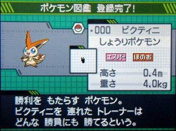 ポケモンｂｗ日記３ ビクティニｇｅｔ ぴゅあの部屋ライブドア版