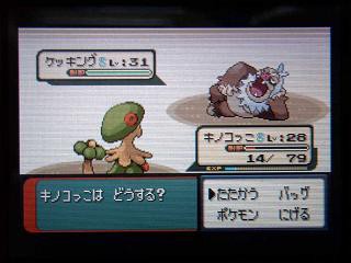 ポケモン エメラルド トウカジムのセンリ戦 ぴゅあの部屋ライブドア版