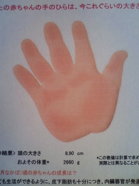 37週検診 Kimiのあれこれ