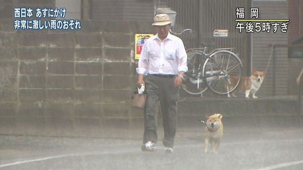 イッヌ すまんな 自転車