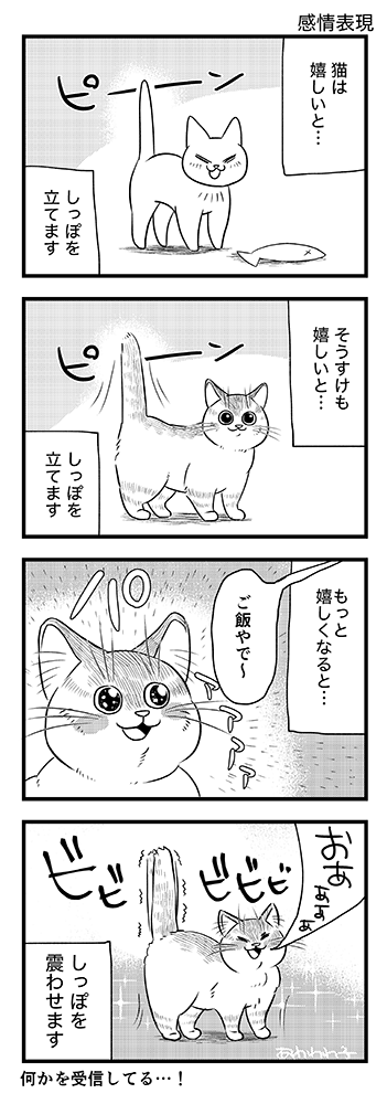 猫の感情表現 きゅーかの絵日記