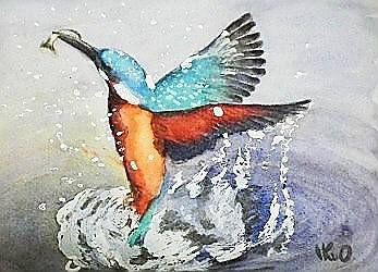 カワセミ ー3 : IKUOの水彩画集