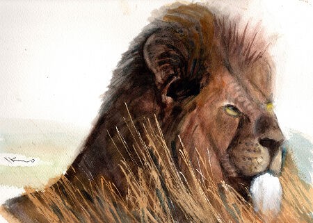 百獣の王 ライオン Ikuoの水彩画集
