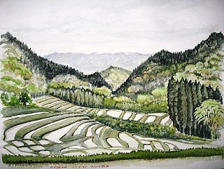 絵画「霧晴れて大山千枚田」　水彩画 絵画「霧晴れて大山千枚田」 水彩画