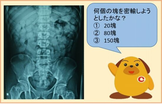 東京税関のゆるキャラが可愛い顔でえげつない問題を出題する くまニュース