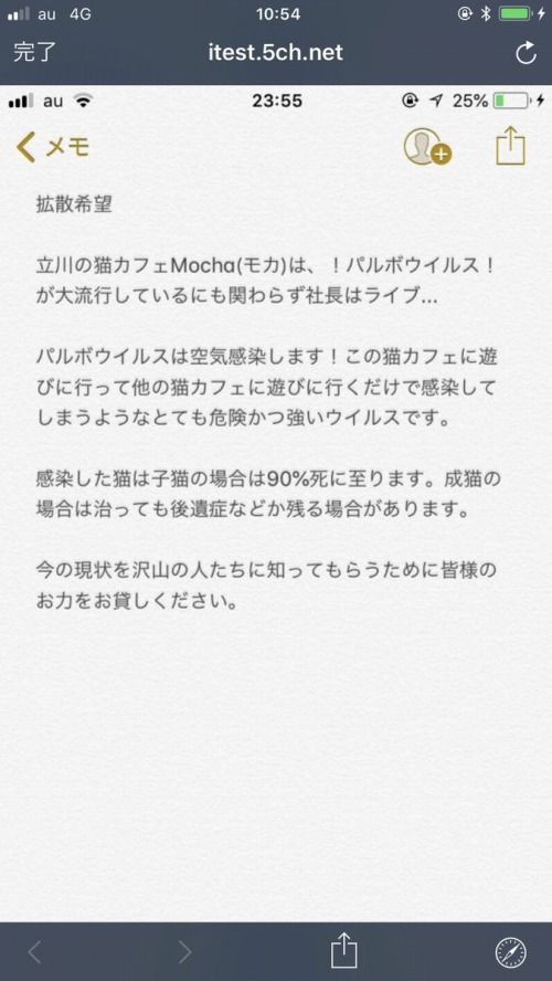 猫カフェ Mocha モカ を全店営業停止に追い込んだ告発ツイート くまニュース