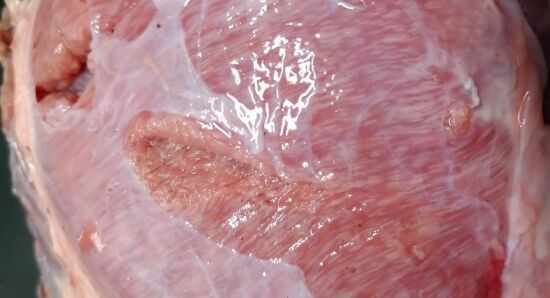 閲覧注意 美味しそうな霜降りに見えるところが全部寄生虫だった鹿肉 くまニュース