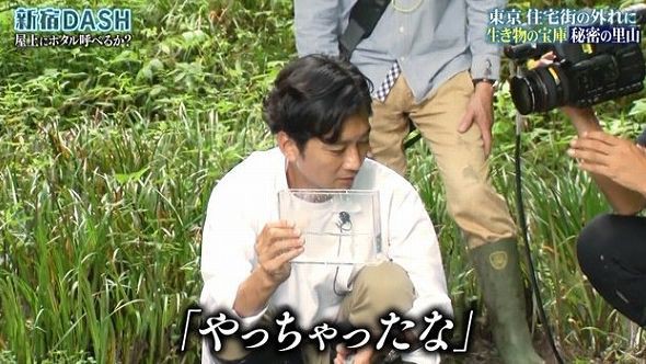 ザ 鉄腕 Dash Tokioが絶滅危惧種の中でトップクラスの生物を発見 くまニュース