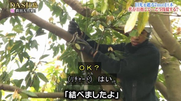 ザ 鉄腕 Dash 東京スカイツリーが見える限界の距離を調査したら驚きの結果に くまニュース