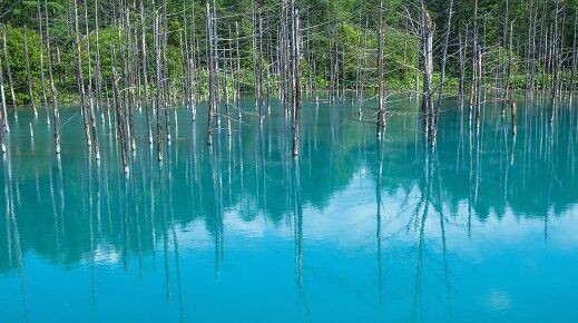 池の看板が経年劣化で意味深な文章に くまニュース