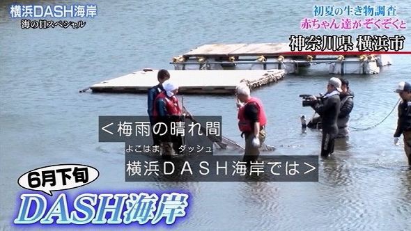 ザ 鉄腕 Dash Tokioが青森駅前干潟を改良してカレイを呼び込む くまニュース
