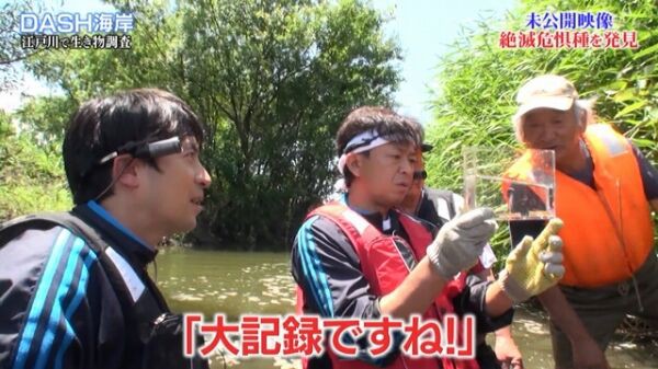 ザ 鉄腕 Dash Tokioが絶滅危惧種を発見するも未公開になったシーン公開 くまニュース