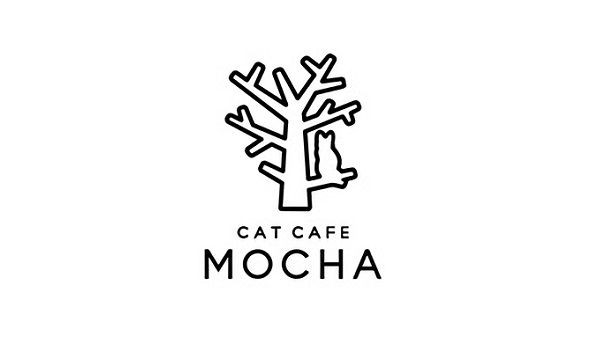 猫カフェ Mocha モカ を全店営業停止に追い込んだ告発ツイート くまニュース