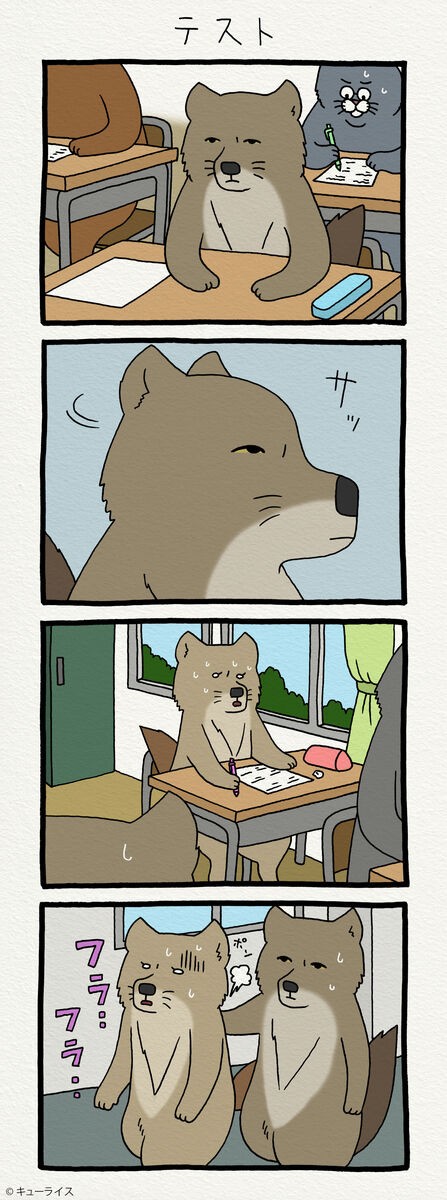 過去編 チベットスナギツネの砂岡さん テスト キューライス記 Powered By ライブドアブログ