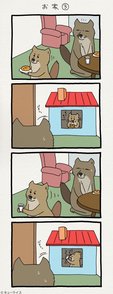 チベットスナギツネの砂岡さん お家3 キューライス記 Powered By ライブドアブログ