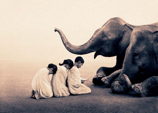 グレゴリーコルベール グレゴリー・コルベール 灰と雪 Gregory Colbert Ashes and Snow