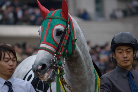 シゲルスダチ 14 11 9 奥多摩s R1146