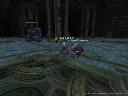 属性 Ff11用語辞典