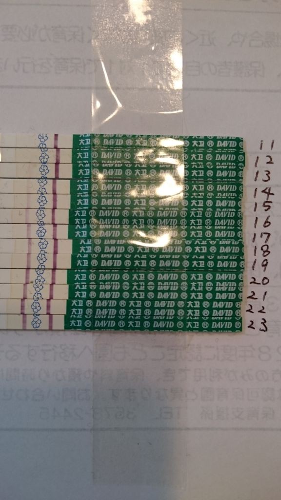 高温期11日 高温期23日 妊娠検査薬画像 ２歳児ぴーとの生活