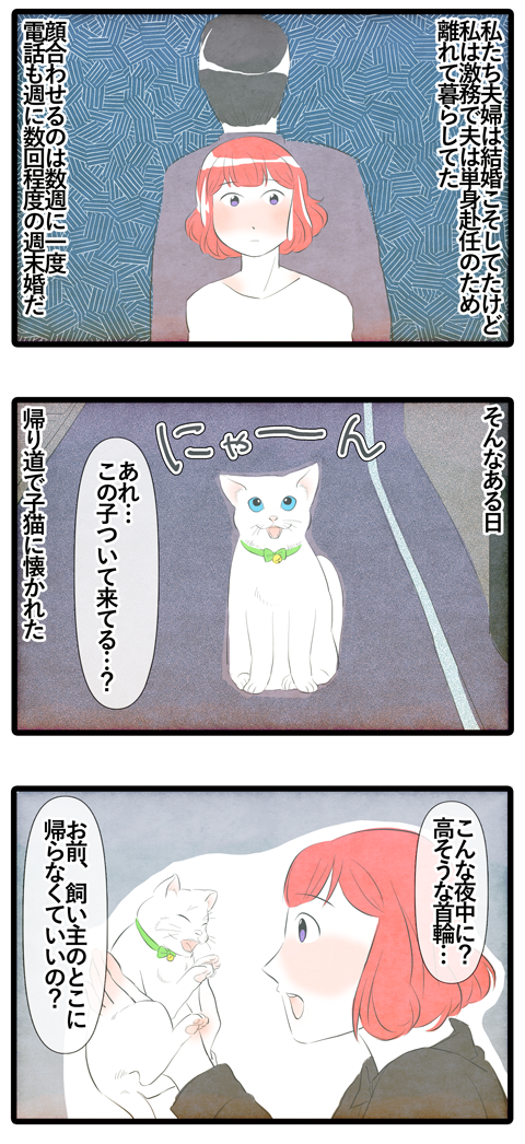 1 白い猫のおかげで離婚して幸せを手に入れた話 私とシロの出会い ライコミちゃん Powered By ライブドアブログ