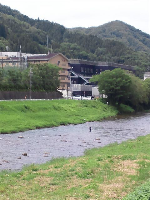 ６月２９日の香嵐渓 巴川 鮎釣り風景 愛知 香嵐渓 マス釣り 中年オヤジのトラウト日記