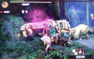 猫被りハンターがゆく瀬戸際狩猟 火事場の猫力 雨天決行 In The New World