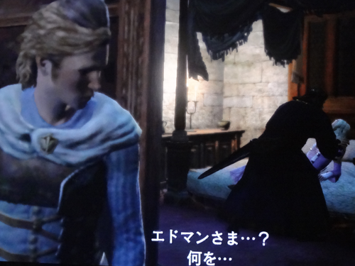 ドラゴンズドグマ 逢瀬の代償は ばすたーどそーど