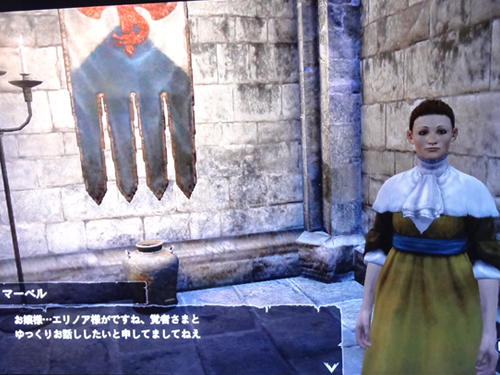 ドラゴンズドグマ 逢瀬の代償は ばすたーどそーど