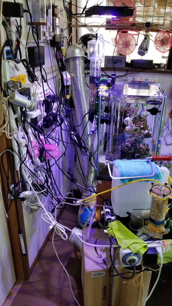 水槽周りの配線整理 楽して海水魚16