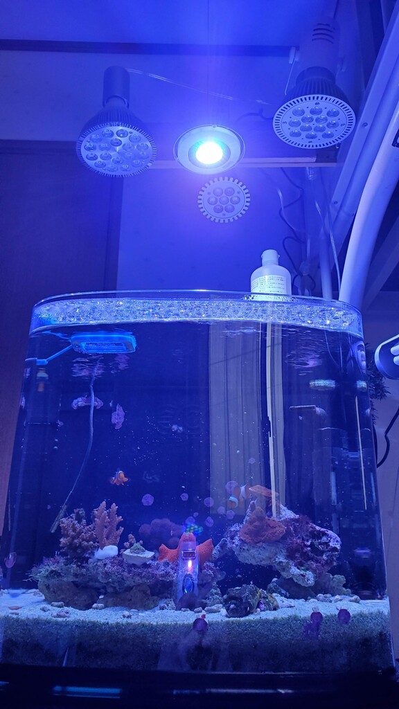 グラッシー　ソーラー　リーフ　海水用LED