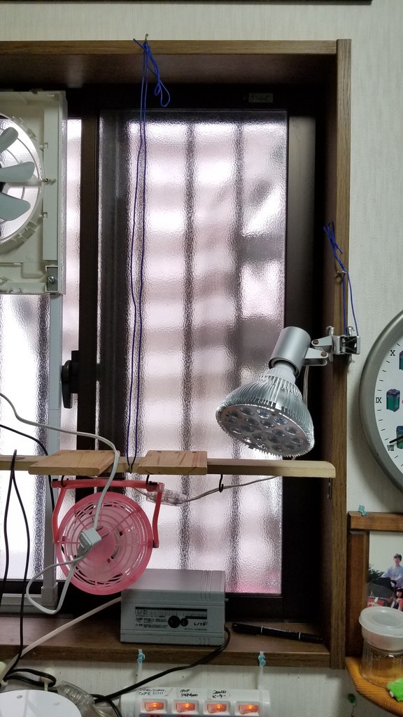 真夏の対策 窓用換気扇vfw x2設置 楽して海水魚16 真夏の対策 窓用換気扇vfw x2設置 楽して海水魚16