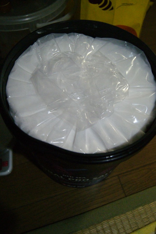 人気ブランド新作豊富 飼育用品 コーラルプロソルト210l 人工海水 Shipsctc Org