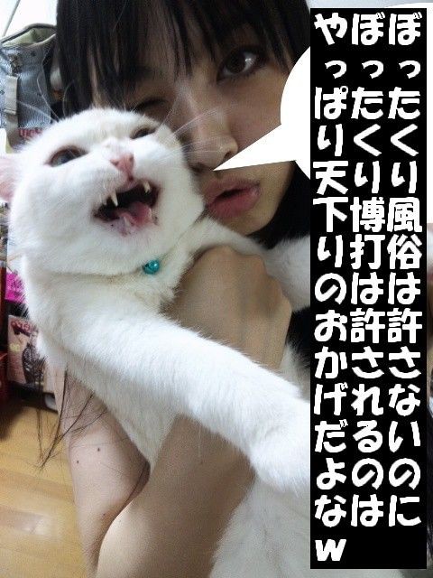 ぼったくり博打通信中野 清々しいまでの屑っぷり Q 大阪府警察 4円パチンコを推進し 1円パチンコを撲滅する方針を発表 売上減少で賄賂が不足 クソ台ハンター Ralphdelmonte Neo