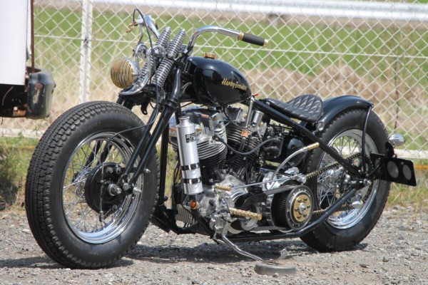 ランブータンソロシート☆特注・本革-黒-ダイヤ取付画像 : ラン