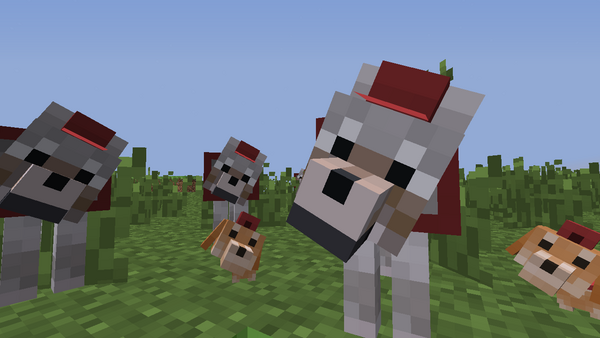 柴犬やダックスフンドが仲間に しばいぬ Mod Ramsのマイクラブログ